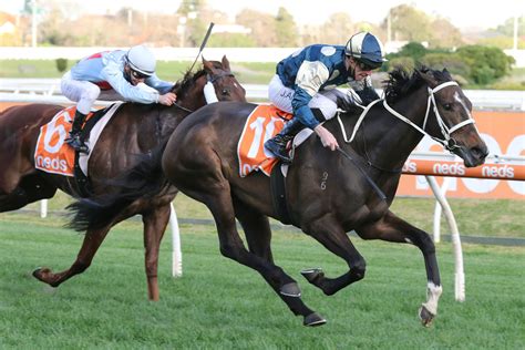 pb lawrence stakes|P B Lawrence Stakes .